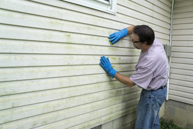 How to remove mold from vinyl siding