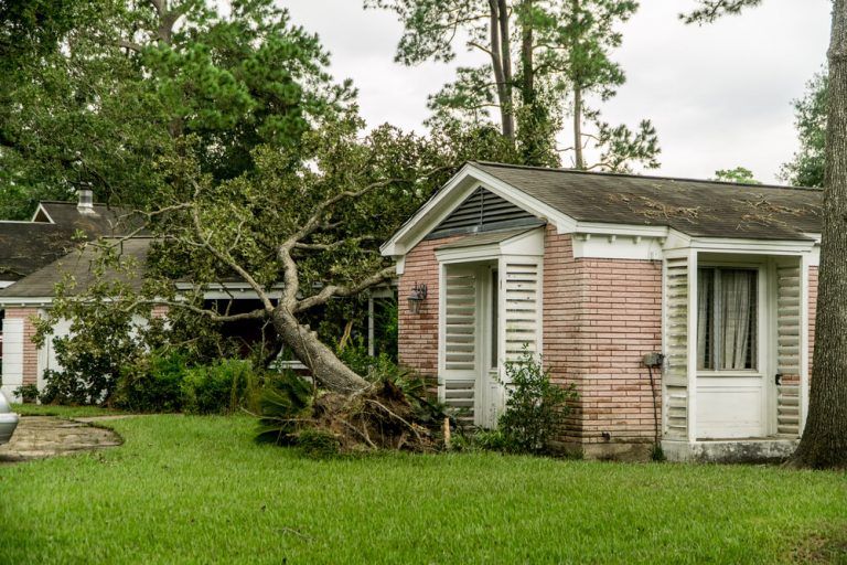 Roof Protection Against Wind and Hail Made Easy