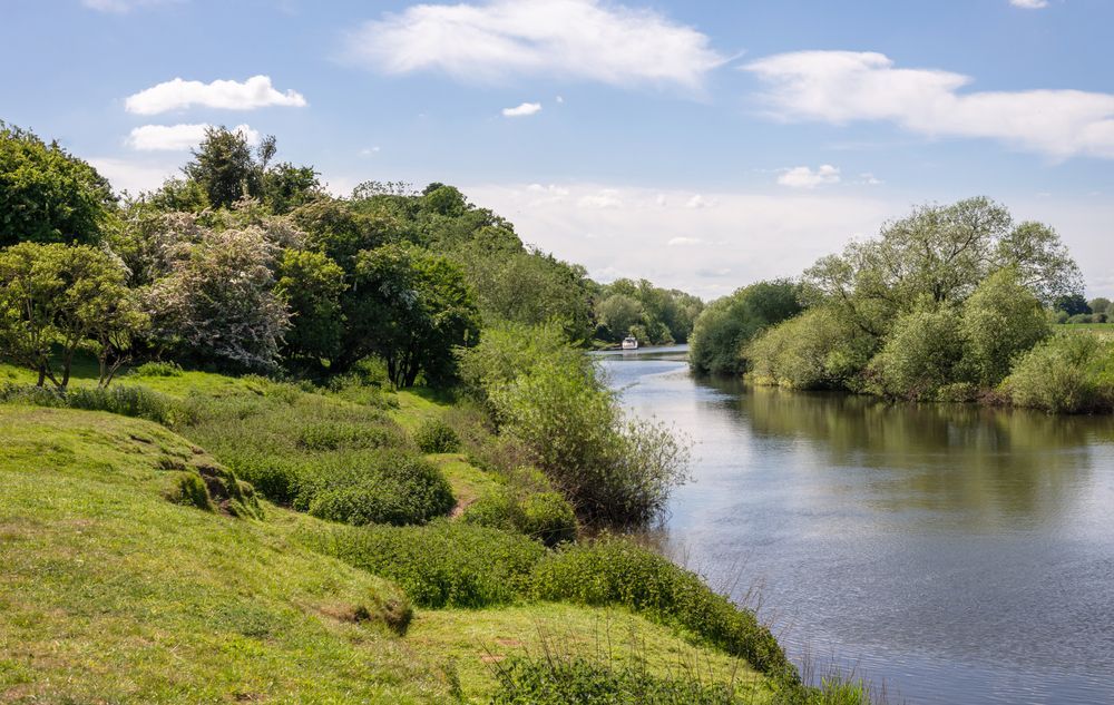 A River Surrounded By Trees On A Sunny Day — Uglow Painting Toby Uglow In Taree, NSW