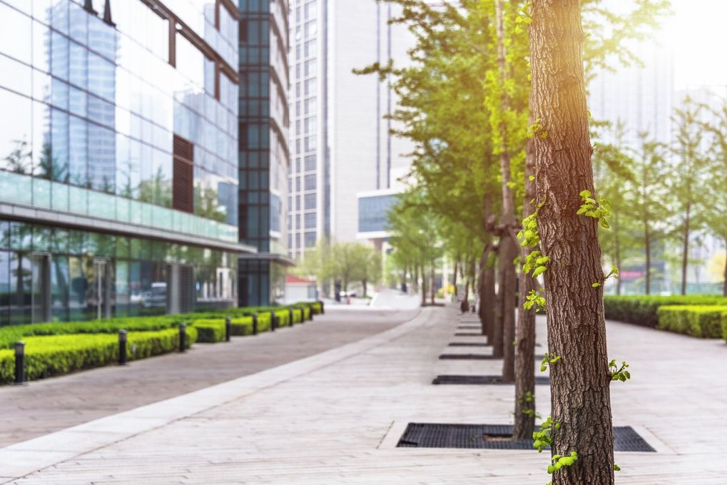 Trees line a city sidewalk next to a modern building with a glass facade. Sunlight shines.