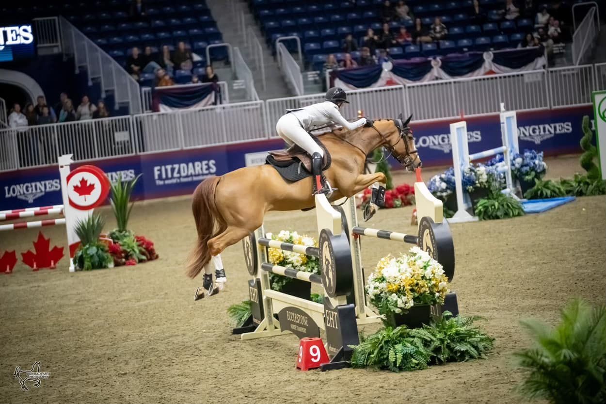 Ecclestone Horse Transport jump featured at The Royal Horse Show in Toronto