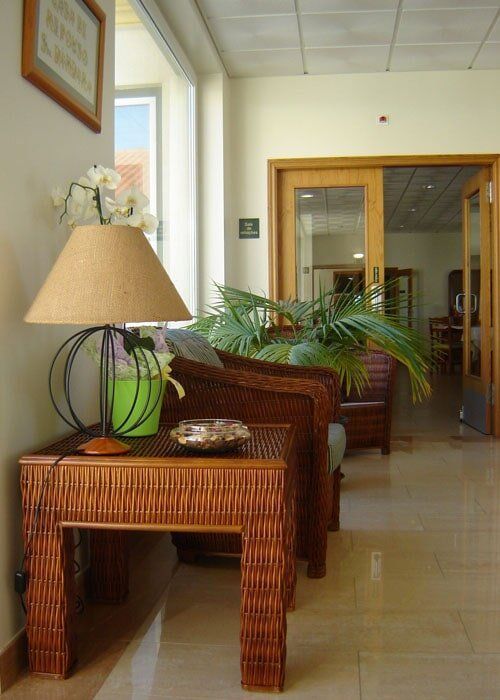 boss-fight-free-high-quality-stock-images-photos-photography-purple-red-plant