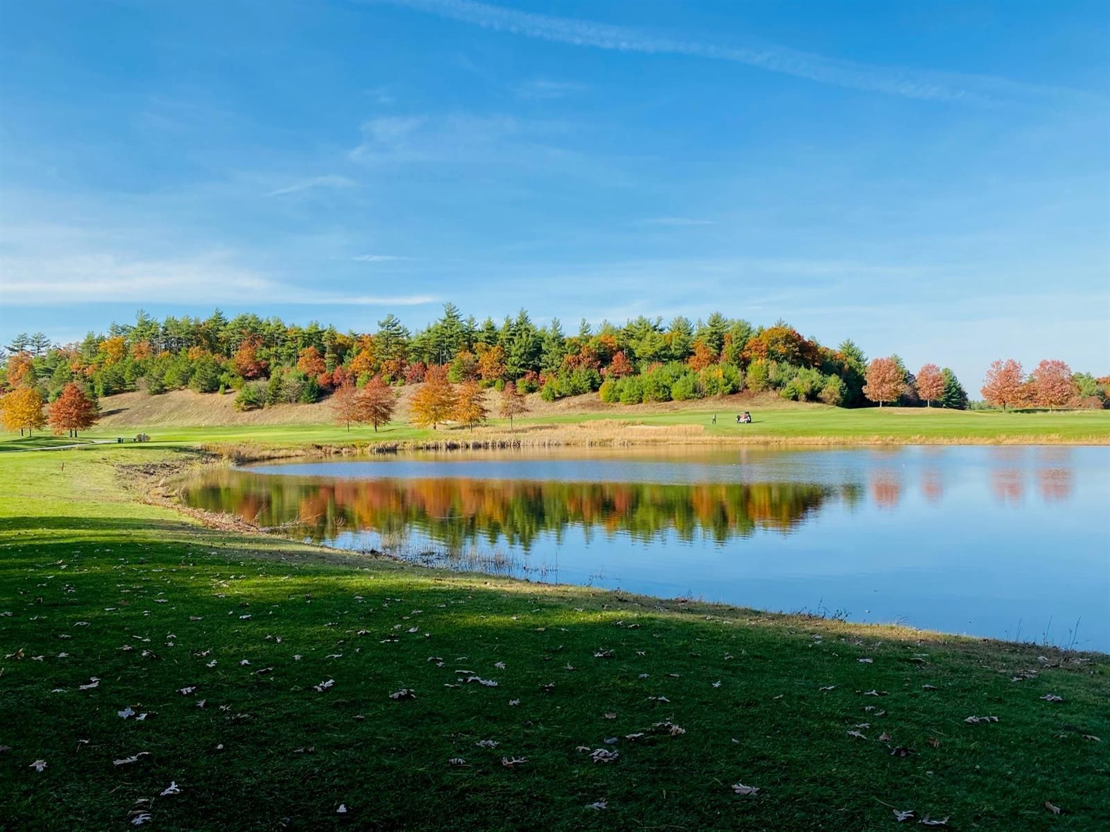 There is a lake in the middle of a field with trees in the background.