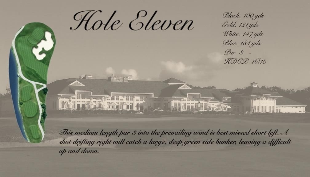 A picture of a golf course called hole eleven