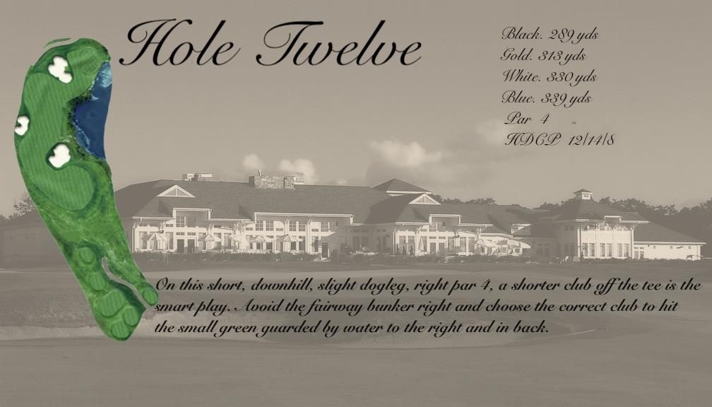 A picture of a golf course called hole twelve