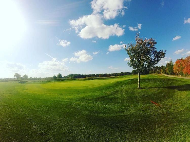 A golf course with a tree in the middle of it.