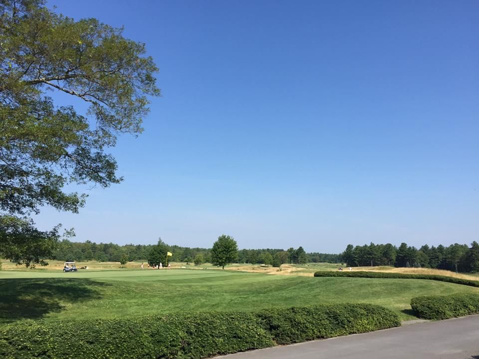 A lush green field with trees and bushes on a sunny day