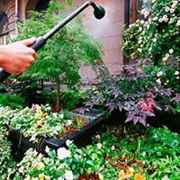 Gardener watering flower garden - Pest Control in Spring Hill, FL