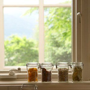 Jars containing dried fruits and vegetables on window sill - Pest Control in Spring Hill, FL