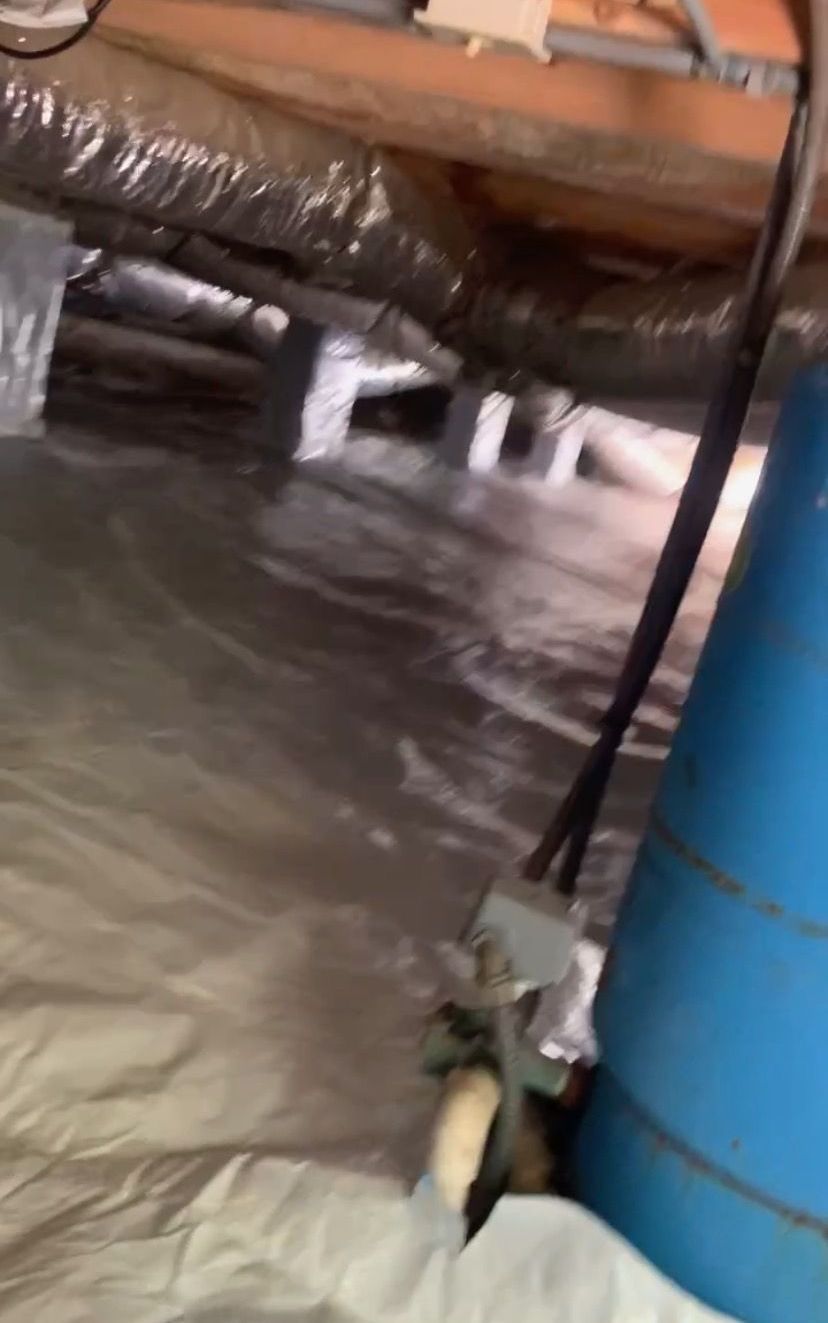 Pest control service, Pest Control Near Me, Pest Control Company, Local Pest Control, Best Pest Control Service, Pest Removal, Pest Removal Near Me, Environmentally Friendly Pest Control, Eco-Friendly Pest Control, Pet Safe Pest Services, Kid Safe Pest Services, Emergency Pest Control, Outdoor Pest Control, Indoor Pest Control, Integrated Pest Management, Home Pest Control Service, General Pest Inspection, Residential Pest Control, Commercial Pest Control, Hotel Pest Control, Restaurant Pest Control, Apartment Pest Control, Office Pest Control, Ant Extermination, Ant Pest Control, Bed Bug Extermination, Bed Bug Pest Control, Bee Extermination, Bee Pest Control, Carpet Beetle Extermination, Carpet Beetle Pest Control, Cockroach Extermination, Cockroach Pest Control, Cricket Extermination, Cricket Pest Control, Earwigs Pest Control, Fire Ant Pest Control, Fire Ant Extermination, Flea & Mite Extermination, Flea & Mite Pest Control, Hornet & Wasp Extermination, Hornet & wasp Pest Control, House Centipede Pest Control, Millipede Pest Control, Mosquito Extermination, Mosquito Pest Control, Rodent Extermination, Rodent Pest Control, Rat Extermination, Rat pest Control, Silverfish Extermination, Silverfish Pest Control, Spider Extermination, Spider Pest Control, Yellow Jacket Pest Control, Yellow Jacket Extermination, Mecklenburg County NC, Charlotte NC, Beatties Ford Trinity Charlotte NC, Henderson Circle Charlotte NC, Wedgewood Charlotte NC, Derita Statesville Charlotte NC, Slater Road Hamilton Circle Charlotte NC, Hidden Valley Charlotte NC 28213, Davis Lake - Eastfield Charlotte NC, Thomasboro Hoskins Charlotte NC, Enderly Park Charlotte NC 28208, Firestone Garden Park Charlotte NC 28216, Cornelius NC, Davidson NC, Huntersville NC, South Charlotte NC, Pineville NC, Matthews NC, Caldwell NC