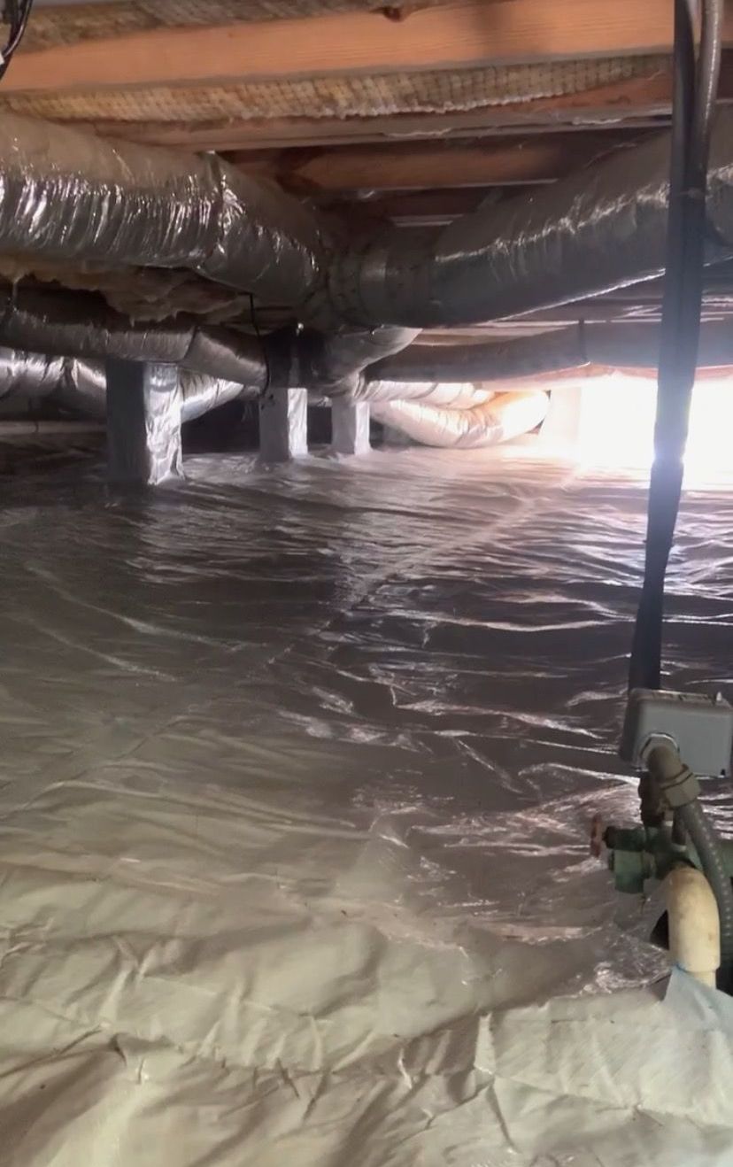 Pest control service, Pest Control Near Me, Pest Control Company, Local Pest Control, Best Pest Control Service, Pest Removal, Pest Removal Near Me, Environmentally Friendly Pest Control, Eco-Friendly Pest Control, Pet Safe Pest Services, Kid Safe Pest Services, Emergency Pest Control, Outdoor Pest Control, Indoor Pest Control, Integrated Pest Management, Home Pest Control Service, General Pest Inspection, Residential Pest Control, Commercial Pest Control, Hotel Pest Control, Restaurant Pest Control, Apartment Pest Control, Office Pest Control, Ant Extermination, Ant Pest Control, Bed Bug Extermination, Bed Bug Pest Control, Bee Extermination, Bee Pest Control, Carpet Beetle Extermination, Carpet Beetle Pest Control, Cockroach Extermination, Cockroach Pest Control, Cricket Extermination, Cricket Pest Control, Earwigs Pest Control, Fire Ant Pest Control, Fire Ant Extermination, Flea & Mite Extermination, Flea & Mite Pest Control, Hornet & Wasp Extermination, Hornet & wasp Pest Control, House Centipede Pest Control, Millipede Pest Control, Mosquito Extermination, Mosquito Pest Control, Rodent Extermination, Rodent Pest Control, Rat Extermination, Rat pest Control, Silverfish Extermination, Silverfish Pest Control, Spider Extermination, Spider Pest Control, Yellow Jacket Pest Control, Yellow Jacket Extermination, Mecklenburg County NC, Charlotte NC, Beatties Ford Trinity Charlotte NC, Henderson Circle Charlotte NC, Wedgewood Charlotte NC, Derita Statesville Charlotte NC, Slater Road Hamilton Circle Charlotte NC, Hidden Valley Charlotte NC 28213, Davis Lake - Eastfield Charlotte NC, Thomasboro Hoskins Charlotte NC, Enderly Park Charlotte NC 28208, Firestone Garden Park Charlotte NC 28216, Cornelius NC, Davidson NC, Huntersville NC, South Charlotte NC, Pineville NC, Matthews NC, Caldwell NC