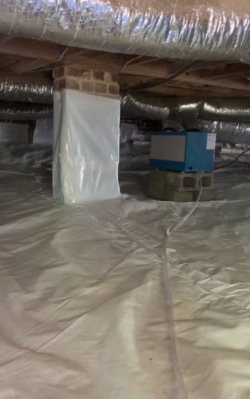 Pest control service, Pest Control Near Me, Pest Control Company, Local Pest Control, Best Pest Control Service, Pest Removal, Pest Removal Near Me, Environmentally Friendly Pest Control, Eco-Friendly Pest Control, Pet Safe Pest Services, Kid Safe Pest Services, Emergency Pest Control, Outdoor Pest Control, Indoor Pest Control, Integrated Pest Management, Home Pest Control Service, General Pest Inspection, Residential Pest Control, Commercial Pest Control, Hotel Pest Control, Restaurant Pest Control, Apartment Pest Control, Office Pest Control, Ant Extermination, Ant Pest Control, Bed Bug Extermination, Bed Bug Pest Control, Bee Extermination, Bee Pest Control, Carpet Beetle Extermination, Carpet Beetle Pest Control, Cockroach Extermination, Cockroach Pest Control, Cricket Extermination, Cricket Pest Control, Earwigs Pest Control, Fire Ant Pest Control, Fire Ant Extermination, Flea & Mite Extermination, Flea & Mite Pest Control, Hornet & Wasp Extermination, Hornet & wasp Pest Control, House Centipede Pest Control, Millipede Pest Control, Mosquito Extermination, Mosquito Pest Control, Rodent Extermination, Rodent Pest Control, Rat Extermination, Rat pest Control, Silverfish Extermination, Silverfish Pest Control, Spider Extermination, Spider Pest Control, Yellow Jacket Pest Control, Yellow Jacket Extermination, Mecklenburg County NC, Charlotte NC, Beatties Ford Trinity Charlotte NC, Henderson Circle Charlotte NC, Wedgewood Charlotte NC, Derita Statesville Charlotte NC, Slater Road Hamilton Circle Charlotte NC, Hidden Valley Charlotte NC 28213, Davis Lake - Eastfield Charlotte NC, Thomasboro Hoskins Charlotte NC, Enderly Park Charlotte NC 28208, Firestone Garden Park Charlotte NC 28216, Cornelius NC, Davidson NC, Huntersville NC, South Charlotte NC, Pineville NC, Matthews NC, Caldwell NC