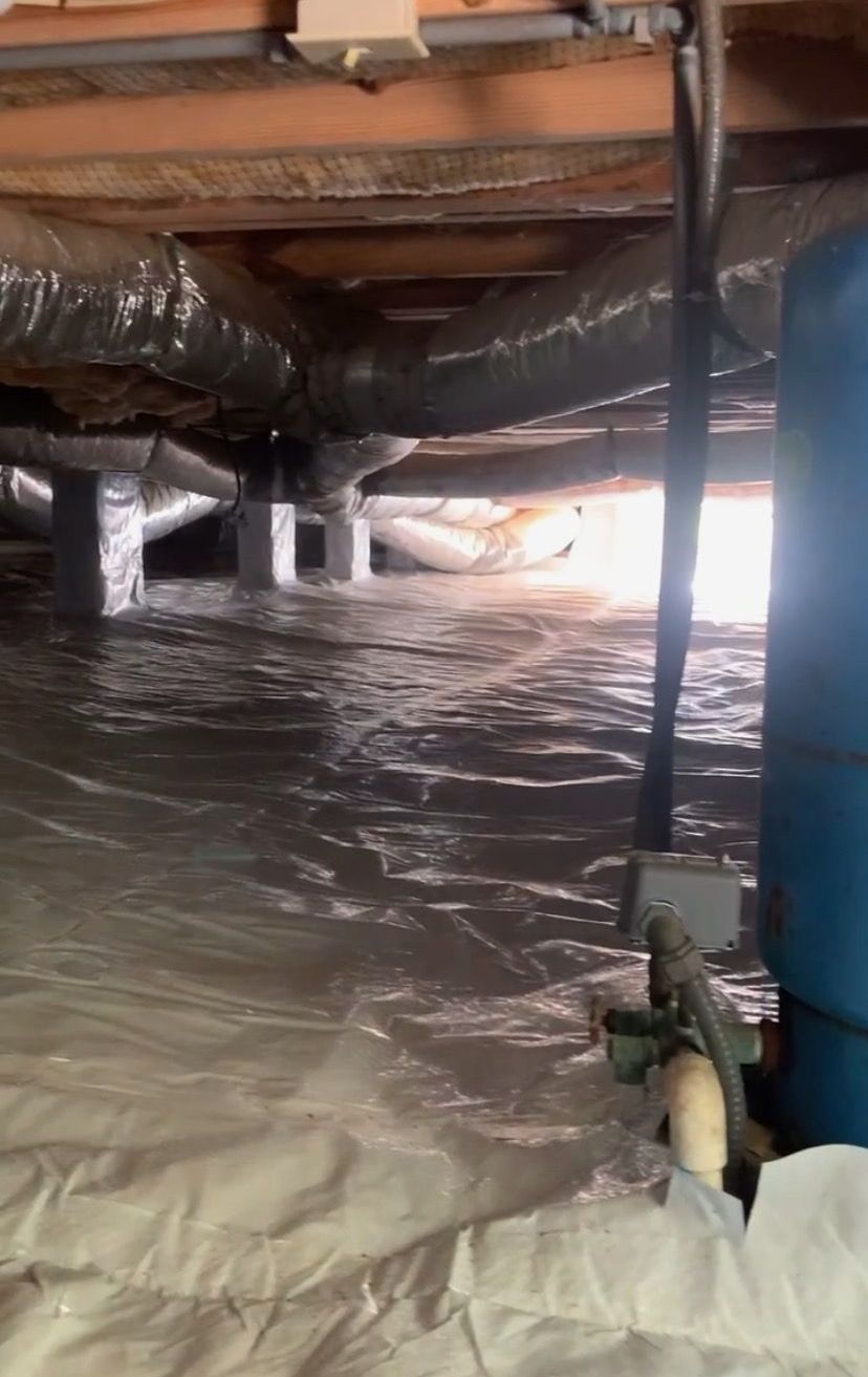 Pest control service, Pest Control Near Me, Pest Control Company, Local Pest Control, Best Pest Control Service, Pest Removal, Pest Removal Near Me, Environmentally Friendly Pest Control, Eco-Friendly Pest Control, Pet Safe Pest Services, Kid Safe Pest Services, Emergency Pest Control, Outdoor Pest Control, Indoor Pest Control, Integrated Pest Management, Home Pest Control Service, General Pest Inspection, Residential Pest Control, Commercial Pest Control, Hotel Pest Control, Restaurant Pest Control, Apartment Pest Control, Office Pest Control, Ant Extermination, Ant Pest Control, Bed Bug Extermination, Bed Bug Pest Control, Bee Extermination, Bee Pest Control, Carpet Beetle Extermination, Carpet Beetle Pest Control, Cockroach Extermination, Cockroach Pest Control, Cricket Extermination, Cricket Pest Control, Earwigs Pest Control, Fire Ant Pest Control, Fire Ant Extermination, Flea & Mite Extermination, Flea & Mite Pest Control, Hornet & Wasp Extermination, Hornet & wasp Pest Control, House Centipede Pest Control, Millipede Pest Control, Mosquito Extermination, Mosquito Pest Control, Rodent Extermination, Rodent Pest Control, Rat Extermination, Rat pest Control, Silverfish Extermination, Silverfish Pest Control, Spider Extermination, Spider Pest Control, Yellow Jacket Pest Control, Yellow Jacket Extermination, Mecklenburg County NC, Charlotte NC, Beatties Ford Trinity Charlotte NC, Henderson Circle Charlotte NC, Wedgewood Charlotte NC, Derita Statesville Charlotte NC, Slater Road Hamilton Circle Charlotte NC, Hidden Valley Charlotte NC 28213, Davis Lake - Eastfield Charlotte NC, Thomasboro Hoskins Charlotte NC, Enderly Park Charlotte NC 28208, Firestone Garden Park Charlotte NC 28216, Cornelius NC, Davidson NC, Huntersville NC, South Charlotte NC, Pineville NC, Matthews NC, Caldwell NC