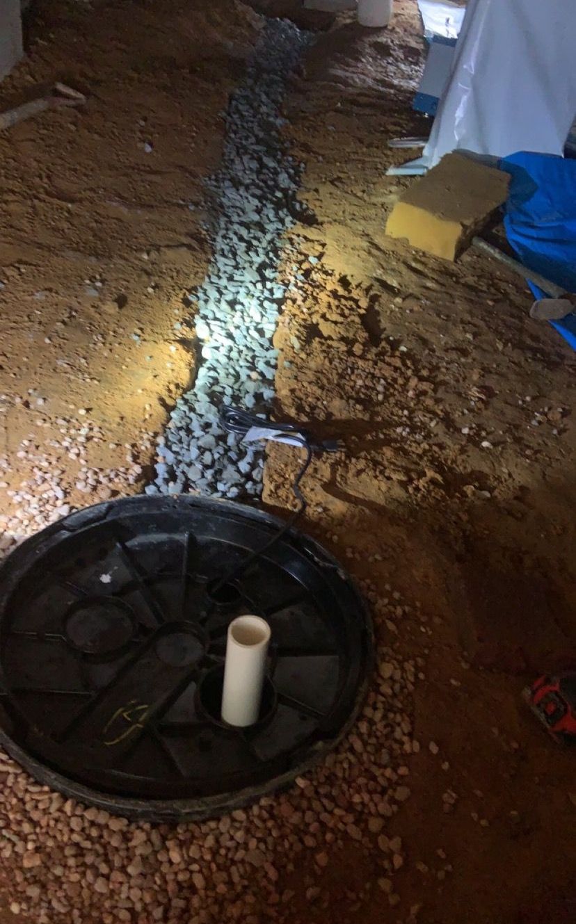 Pest control service, Pest Control Near Me, Pest Control Company, Local Pest Control, Best Pest Control Service, Pest Removal, Pest Removal Near Me, Environmentally Friendly Pest Control, Eco-Friendly Pest Control, Pet Safe Pest Services, Kid Safe Pest Services, Emergency Pest Control, Outdoor Pest Control, Indoor Pest Control, Integrated Pest Management, Home Pest Control Service, General Pest Inspection, Residential Pest Control, Commercial Pest Control, Hotel Pest Control, Restaurant Pest Control, Apartment Pest Control, Office Pest Control, Ant Extermination, Ant Pest Control, Bed Bug Extermination, Bed Bug Pest Control, Bee Extermination, Bee Pest Control, Carpet Beetle Extermination, Carpet Beetle Pest Control, Cockroach Extermination, Cockroach Pest Control, Cricket Extermination, Cricket Pest Control, Earwigs Pest Control, Fire Ant Pest Control, Fire Ant Extermination, Flea & Mite Extermination, Flea & Mite Pest Control, Hornet & Wasp Extermination, Hornet & wasp Pest Control, House Centipede Pest Control, Millipede Pest Control, Mosquito Extermination, Mosquito Pest Control, Rodent Extermination, Rodent Pest Control, Rat Extermination, Rat pest Control, Silverfish Extermination, Silverfish Pest Control, Spider Extermination, Spider Pest Control, Yellow Jacket Pest Control, Yellow Jacket Extermination, Mecklenburg County NC, Charlotte NC, Beatties Ford Trinity Charlotte NC, Henderson Circle Charlotte NC, Wedgewood Charlotte NC, Derita Statesville Charlotte NC, Slater Road Hamilton Circle Charlotte NC, Hidden Valley Charlotte NC 28213, Davis Lake - Eastfield Charlotte NC, Thomasboro Hoskins Charlotte NC, Enderly Park Charlotte NC 28208, Firestone Garden Park Charlotte NC 28216, Cornelius NC, Davidson NC, Huntersville NC, South Charlotte NC, Pineville NC, Matthews NC, Caldwell NC