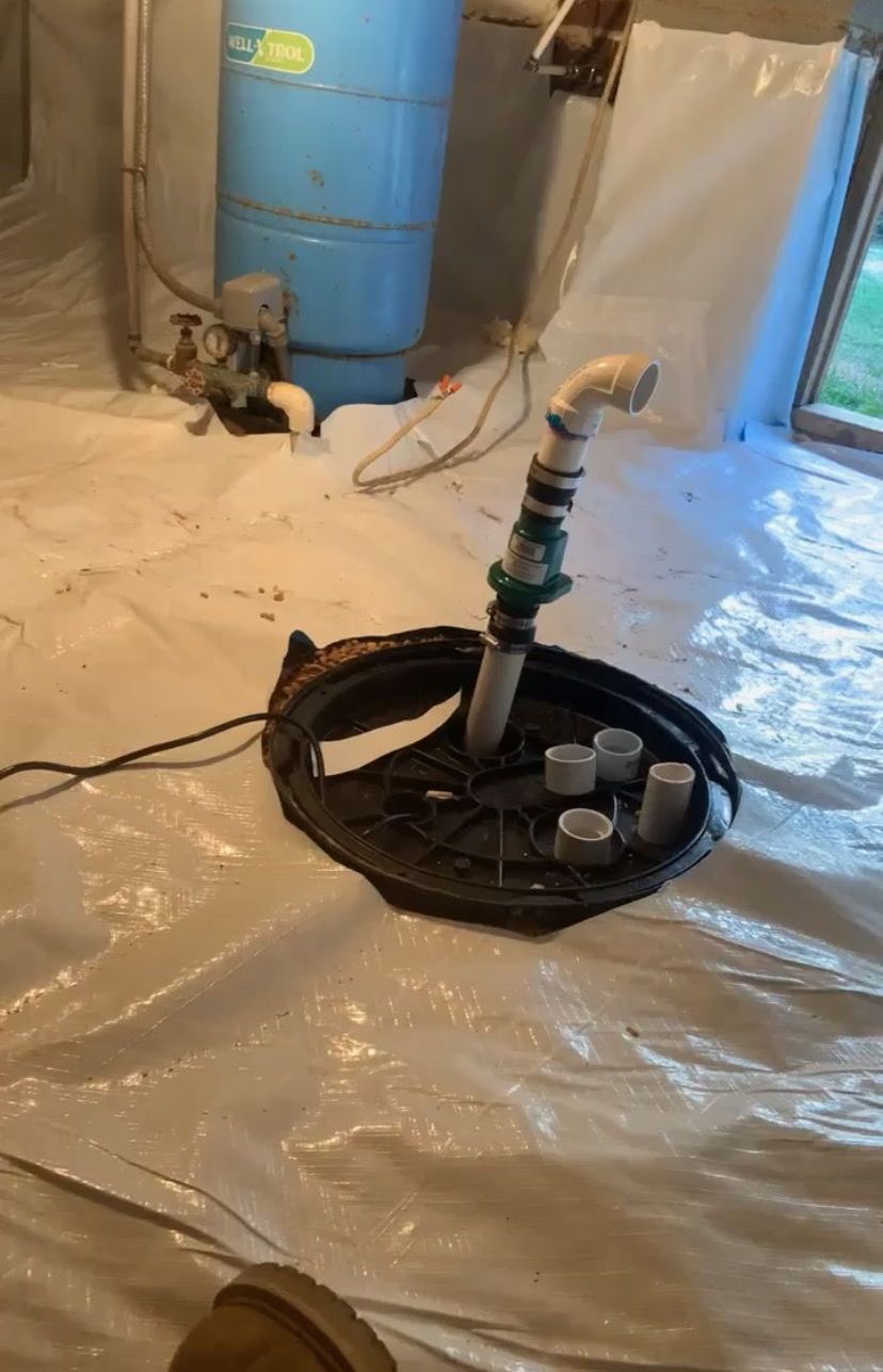 Pest control service, Pest Control Near Me, Pest Control Company, Local Pest Control, Best Pest Control Service, Pest Removal, Pest Removal Near Me, Environmentally Friendly Pest Control, Eco-Friendly Pest Control, Pet Safe Pest Services, Kid Safe Pest Services, Emergency Pest Control, Outdoor Pest Control, Indoor Pest Control, Integrated Pest Management, Home Pest Control Service, General Pest Inspection, Residential Pest Control, Commercial Pest Control, Hotel Pest Control, Restaurant Pest Control, Apartment Pest Control, Office Pest Control, Ant Extermination, Ant Pest Control, Bed Bug Extermination, Bed Bug Pest Control, Bee Extermination, Bee Pest Control, Carpet Beetle Extermination, Carpet Beetle Pest Control, Cockroach Extermination, Cockroach Pest Control, Cricket Extermination, Cricket Pest Control, Earwigs Pest Control, Fire Ant Pest Control, Fire Ant Extermination, Flea & Mite Extermination, Flea & Mite Pest Control, Hornet & Wasp Extermination, Hornet & wasp Pest Control, House Centipede Pest Control, Millipede Pest Control, Mosquito Extermination, Mosquito Pest Control, Rodent Extermination, Rodent Pest Control, Rat Extermination, Rat pest Control, Silverfish Extermination, Silverfish Pest Control, Spider Extermination, Spider Pest Control, Yellow Jacket Pest Control, Yellow Jacket Extermination, Mecklenburg County NC, Charlotte NC, Beatties Ford Trinity Charlotte NC, Henderson Circle Charlotte NC, Wedgewood Charlotte NC, Derita Statesville Charlotte NC, Slater Road Hamilton Circle Charlotte NC, Hidden Valley Charlotte NC 28213, Davis Lake - Eastfield Charlotte NC, Thomasboro Hoskins Charlotte NC, Enderly Park Charlotte NC 28208, Firestone Garden Park Charlotte NC 28216, Cornelius NC, Davidson NC, Huntersville NC, South Charlotte NC, Pineville NC, Matthews NC, Caldwell NC