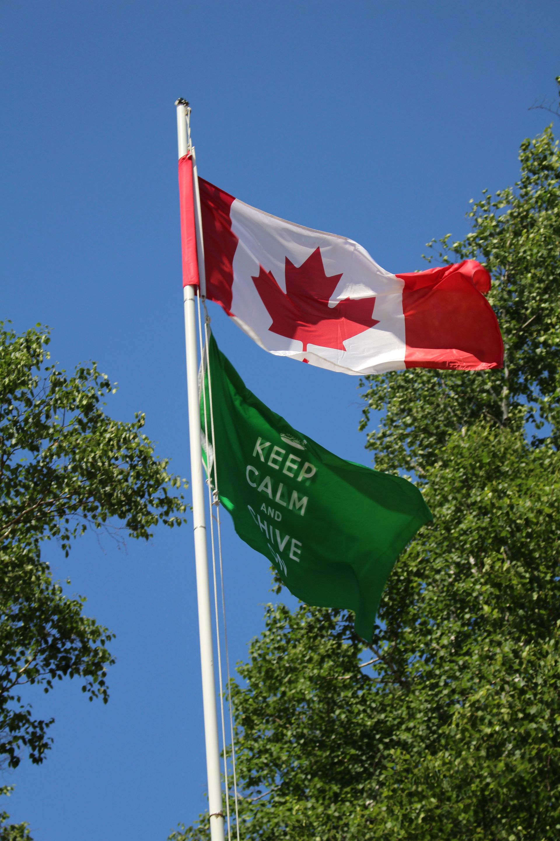 A canadian flag is flying next to a green flag that says keep calm and drive