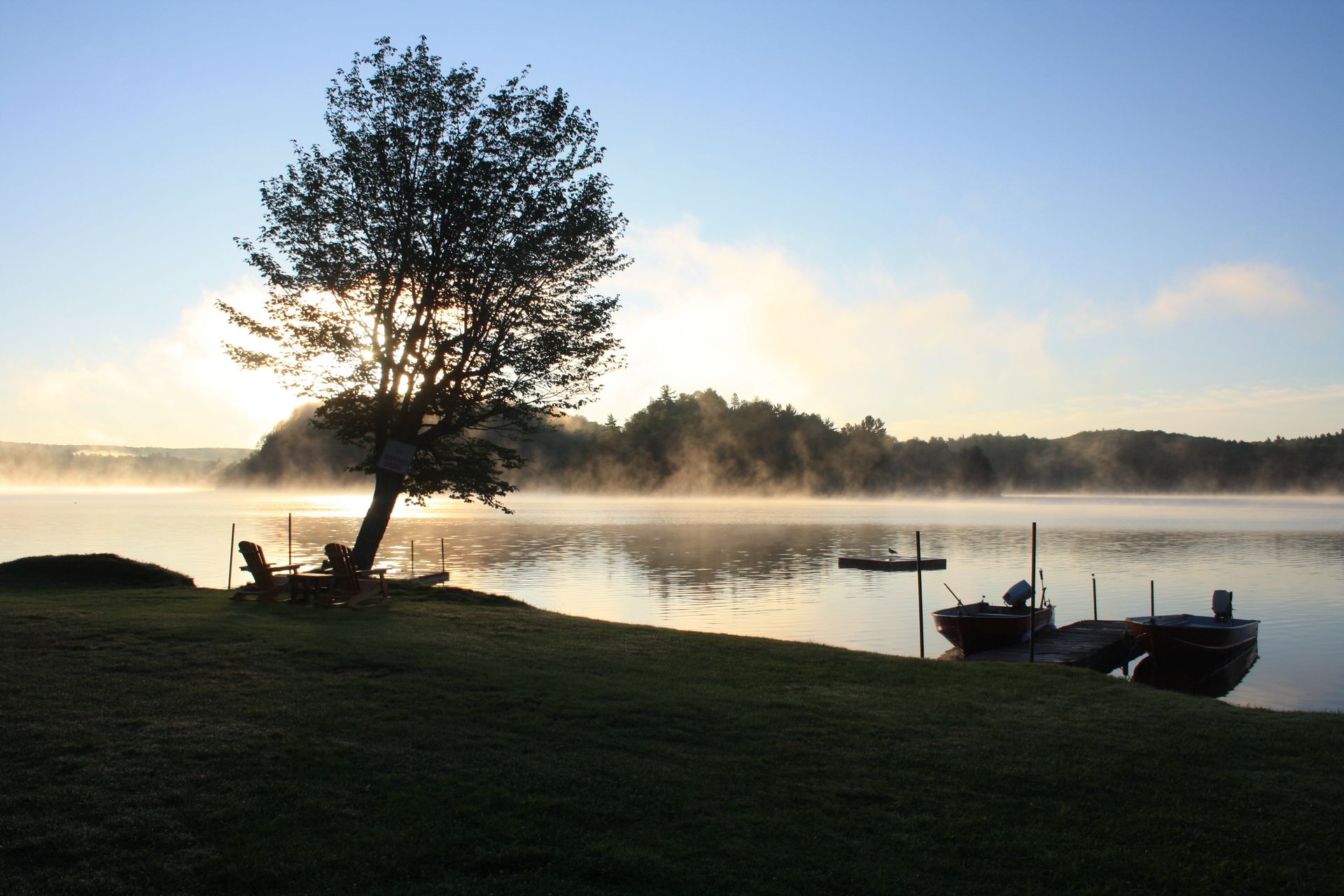 Two boats are docked on the shore of a lake with a tree in the foreground