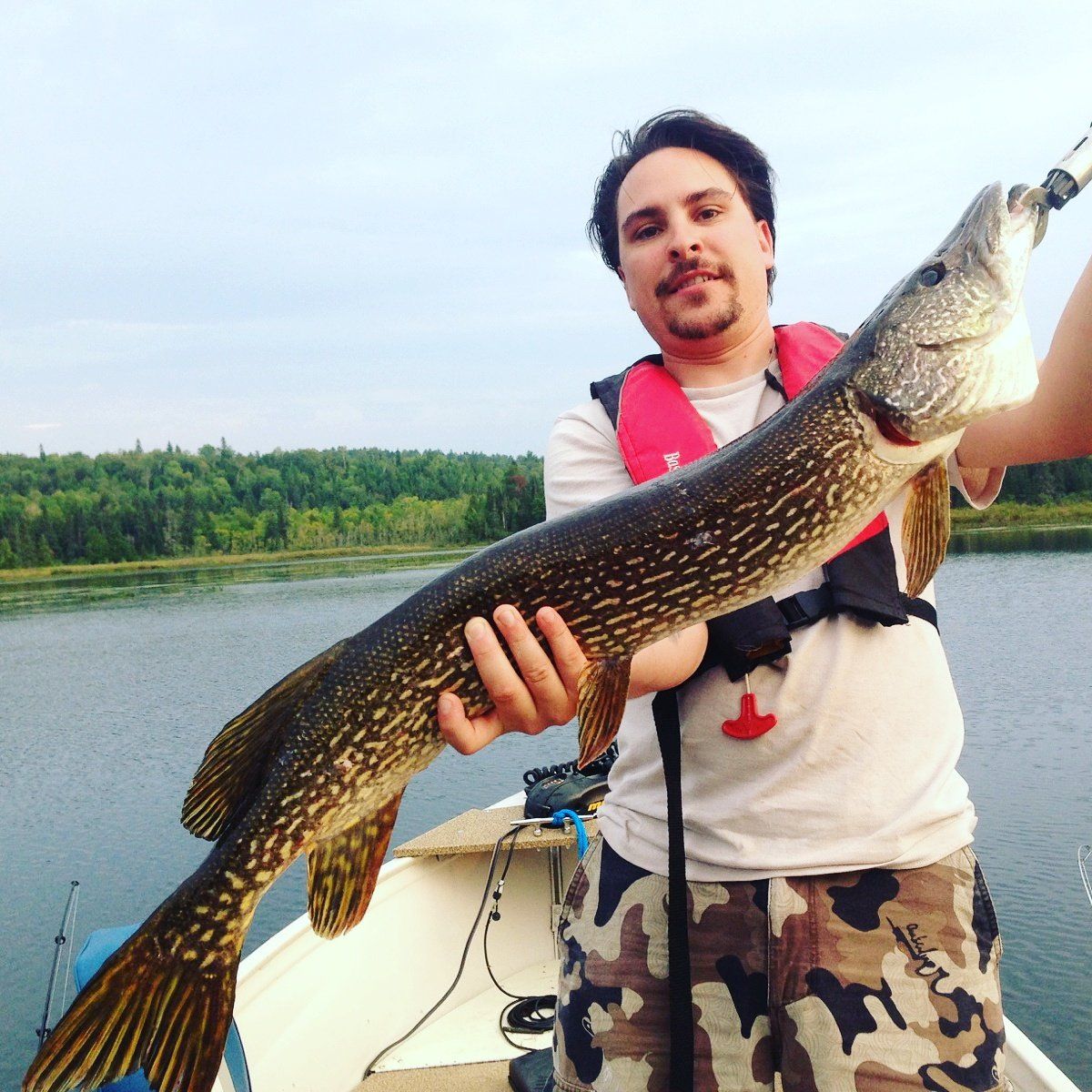 A man in a boat is holding a large fish