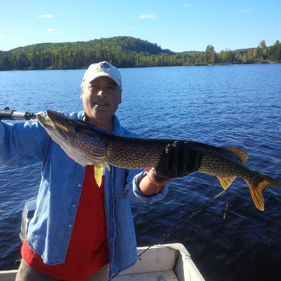 A man on a boat holding a large fish