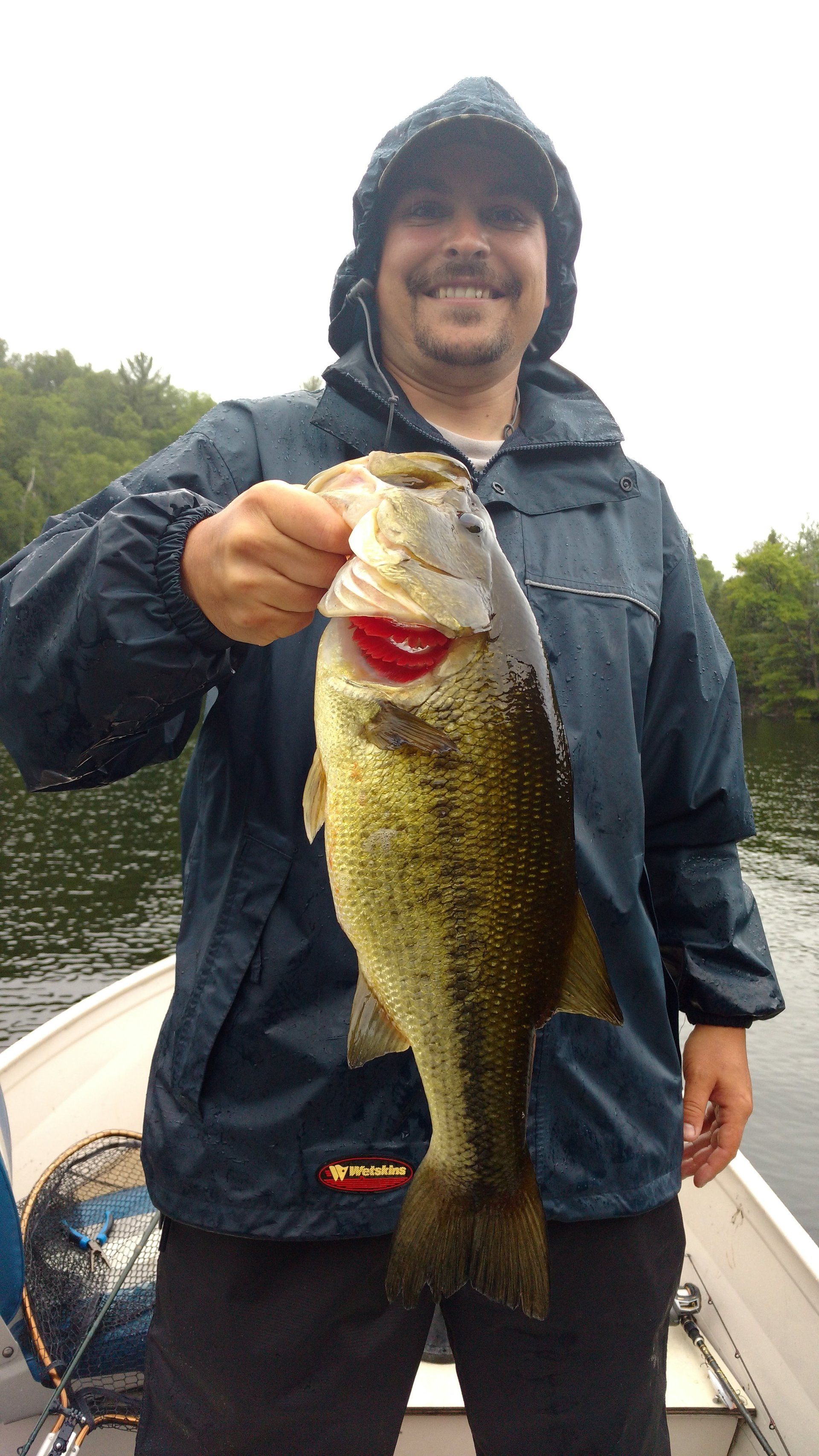 A man is standing in a boat holding a large bass.