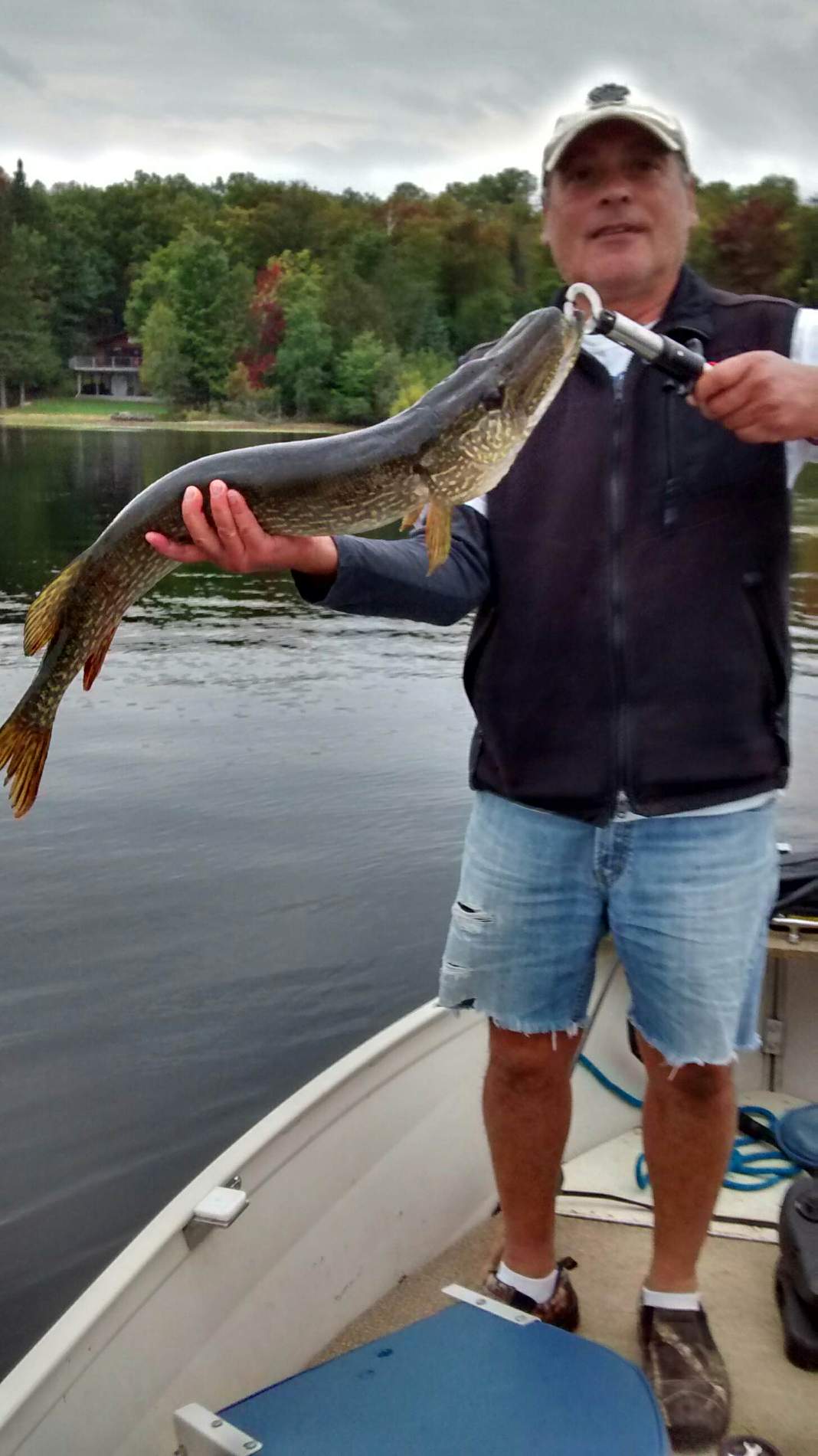 A man is standing in a boat holding a large fish.