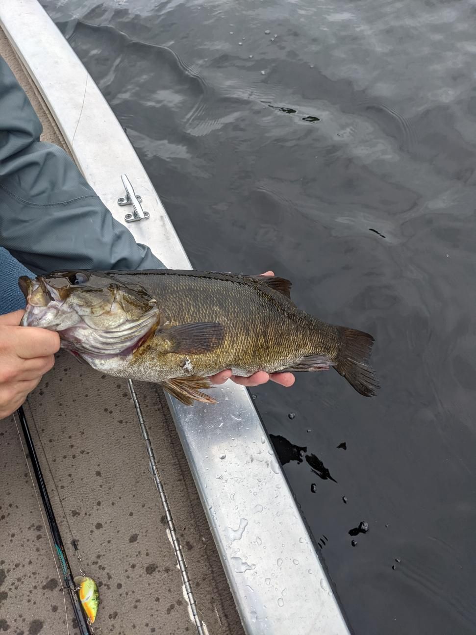 A person is holding a small fish in their hand on a boat.