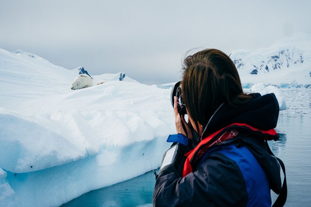 Antarctic Expeditions by National Geographic - Lindblad Expeditions