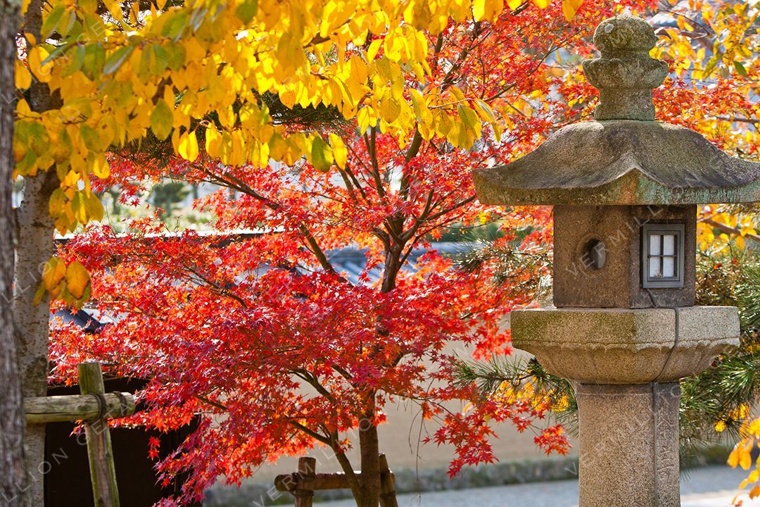 Autumn in Kyoto