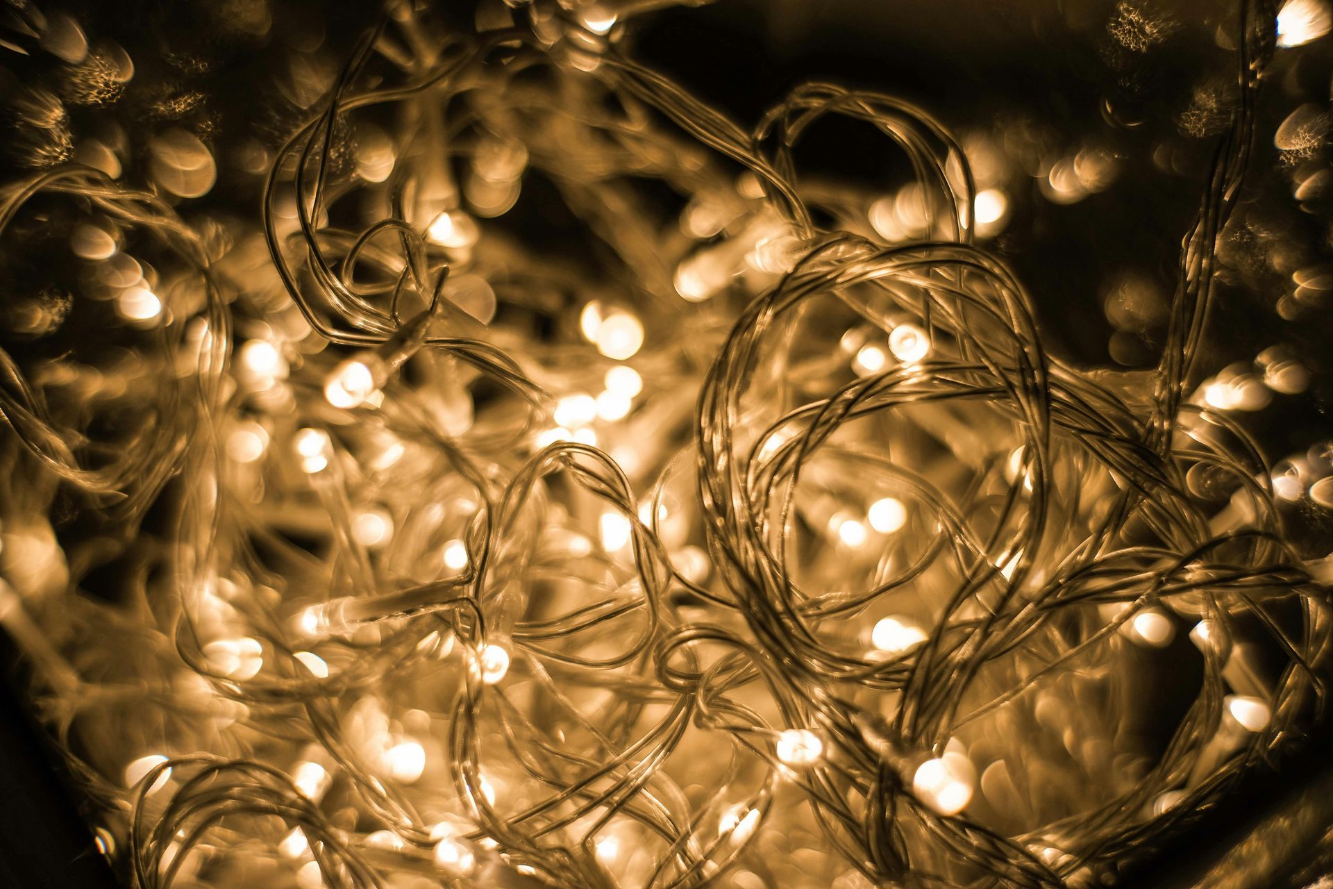 Warm white string lights, tangled and glowing.