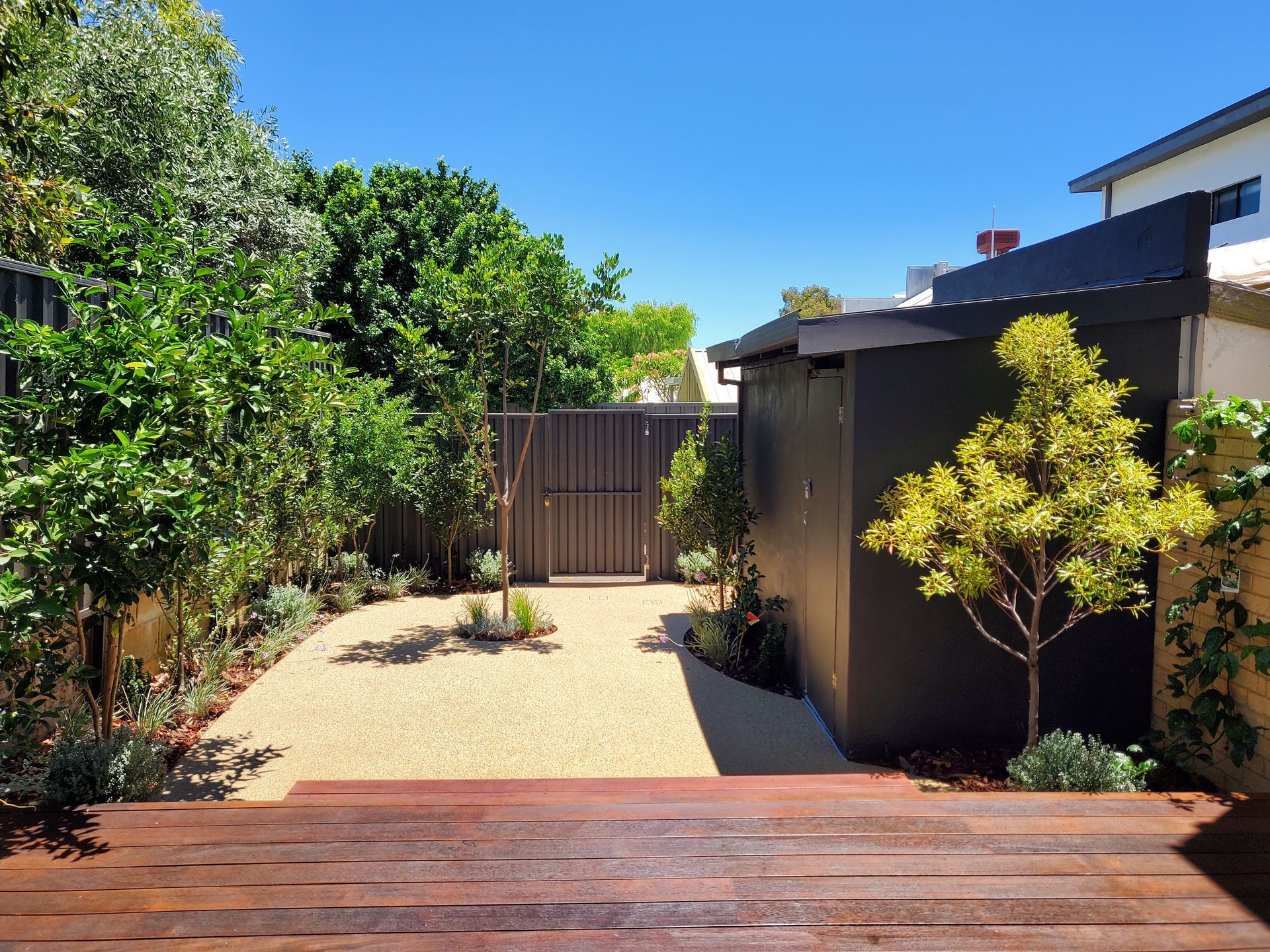 A backyard garden with a gravel path, shed, and lush greenery under a clear blue sky.