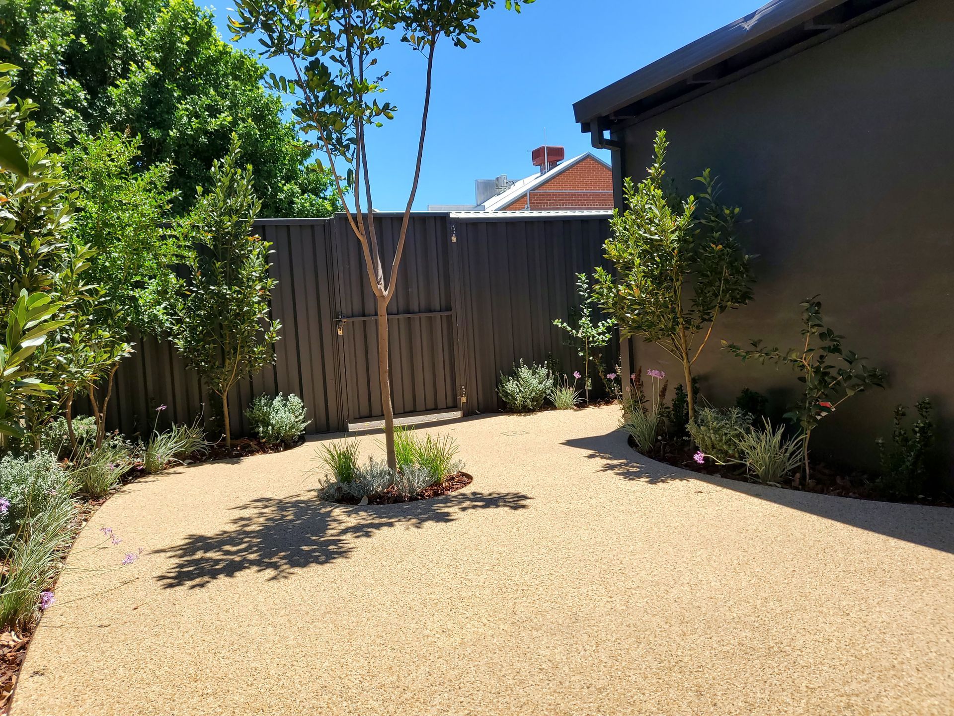 Gravel-covered backyard with a brown fence and small trees, under a blue sky.