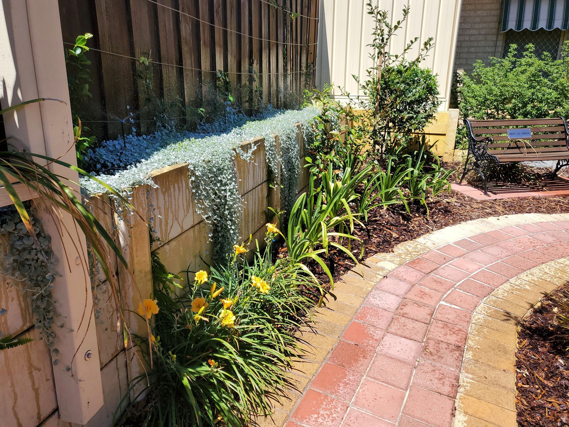 Brick pathway alongside a garden bed with yellow flowers, a fence, and creeping blue foliage.