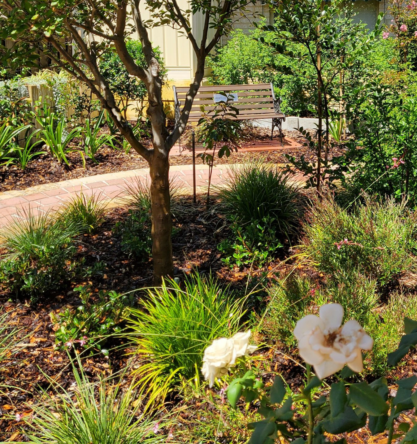 Garden with a brick path, trees, flowers, and a wooden bench in the background.