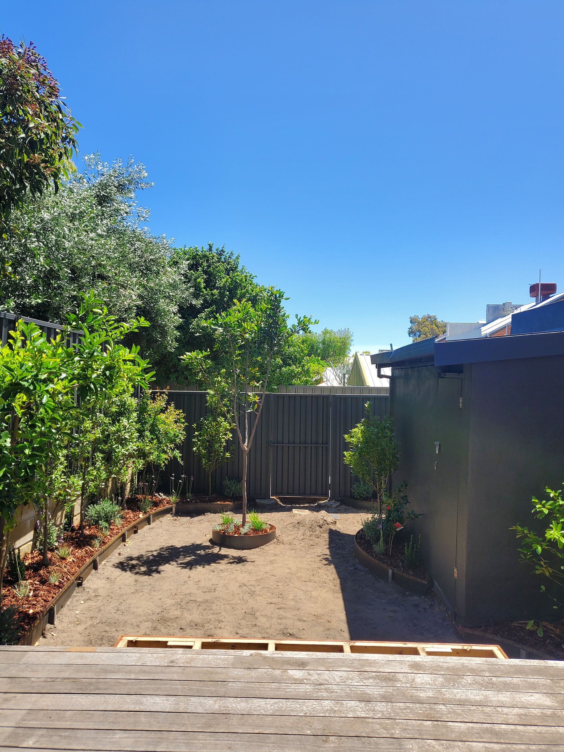 Backyard garden with dirt area, small trees, green foliage, and blue sky.
