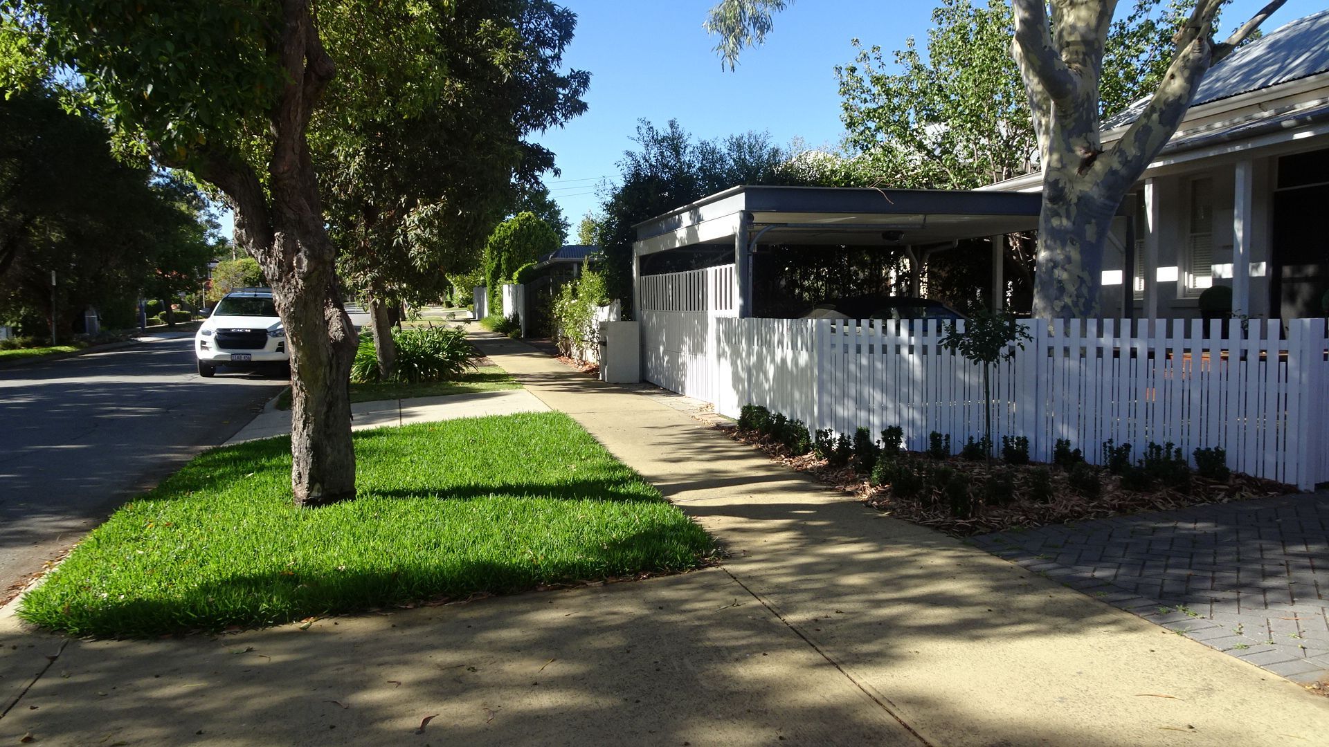 Lush green healthy 'Palmetto' Buffalo turf, that takes up to 60% shade.