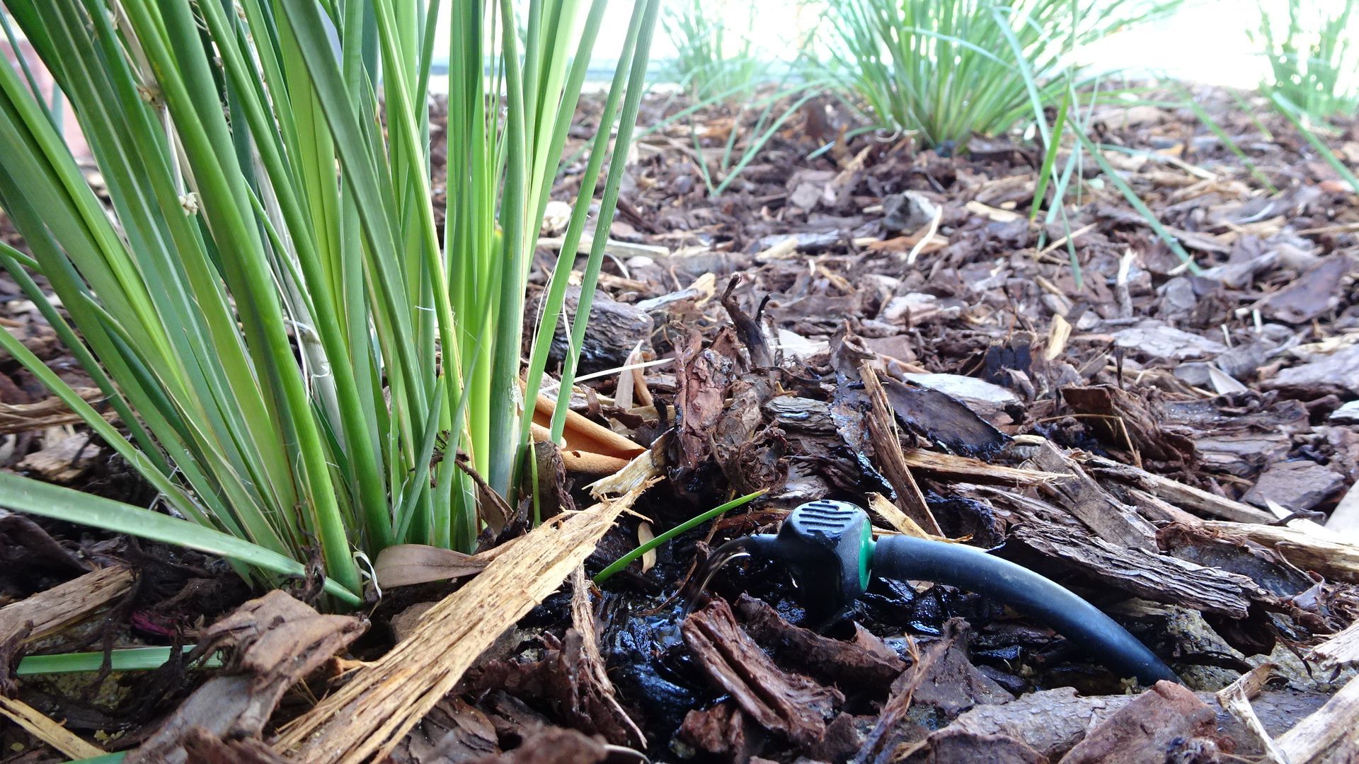 Antelco Asta 8LPH PC Drip Stakes, used in a waterwise reticulation design installed for a new build six-unit site.