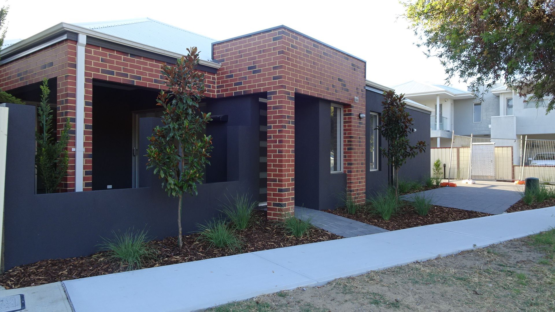 Two Magnolia grandiflora 'Kay Parris' and Lomandra longifolia 'Nyalla' installed for new-build six unit site.