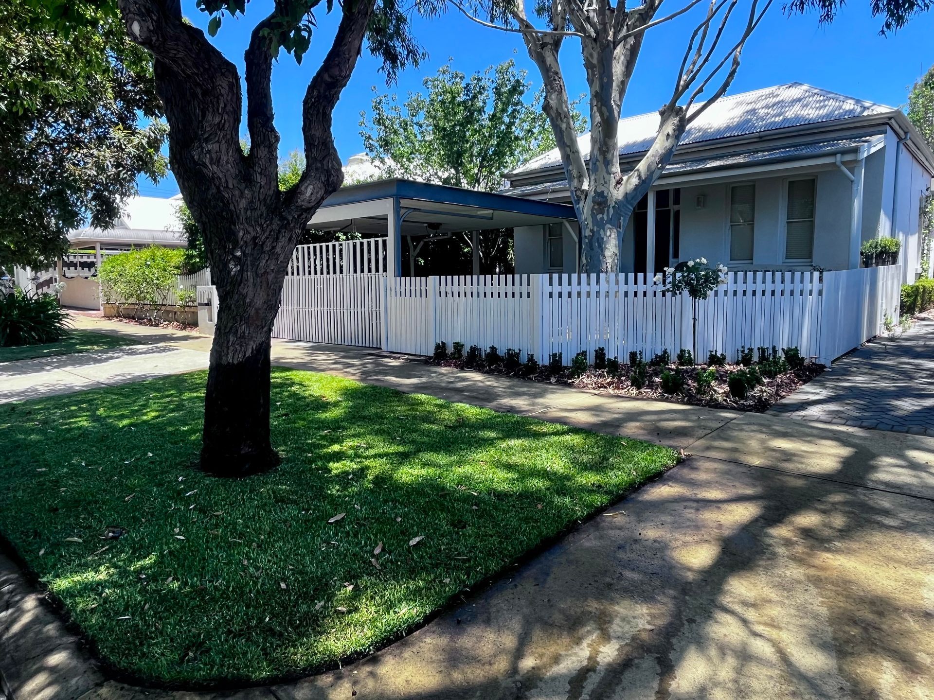 Lush green healthy Palmetto Buffalo Lawn installed on verge in front of classic green and white garden theme.