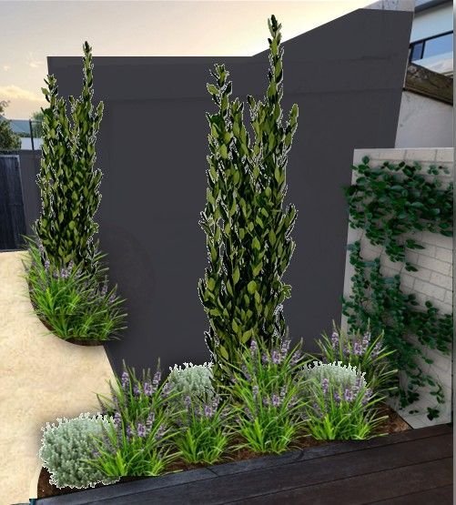 Landscaped garden with tall green trees, lavender and grass against a dark wall and light-colored pathway.