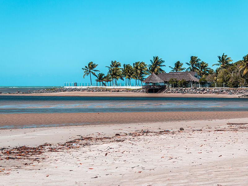 Cena de praia com estrutura de telhado de palha, palmeiras, areia e céu azul.