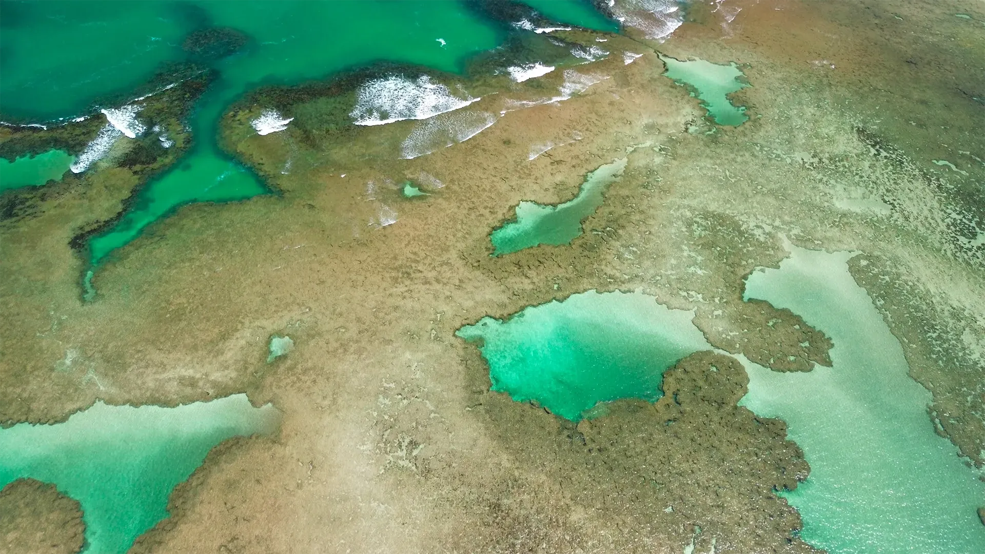 Vista aérea de um recife costeiro raso com piscinas naturais de cor turquesa e águas rasas de cor bege.