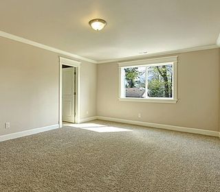 Wall to Wall Carpet — Carpet in Bremerton WA