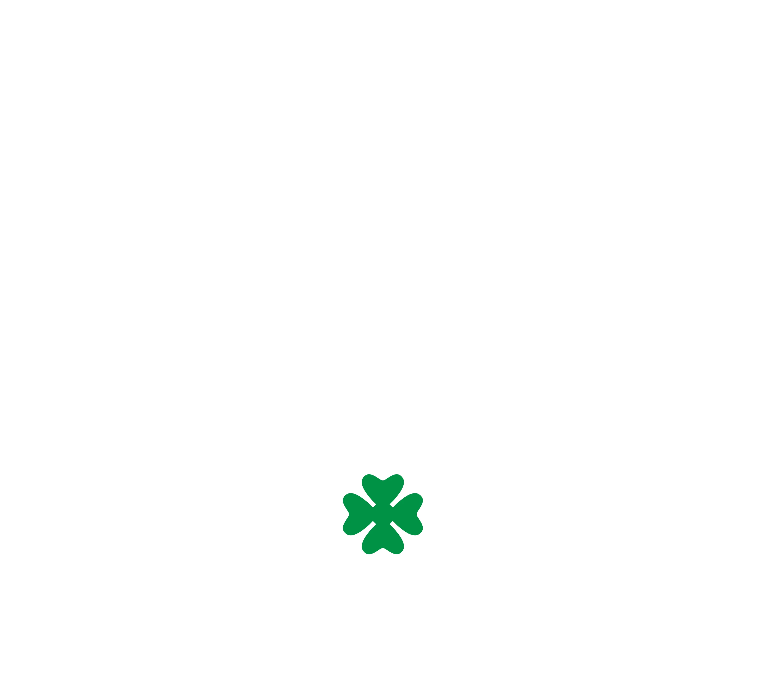 Shannon’s Broncos