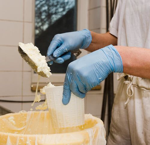 CUAJOS Y PRODUCTOS PARA LACTEOS