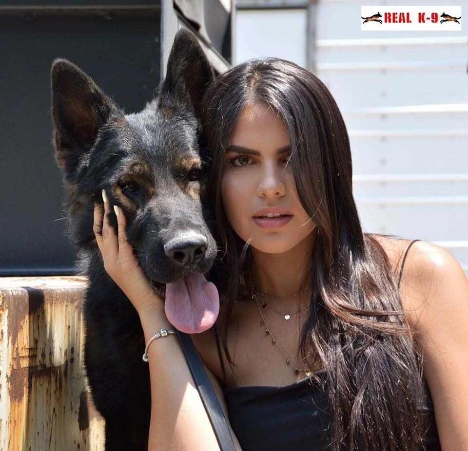 cachorros pastor aleman