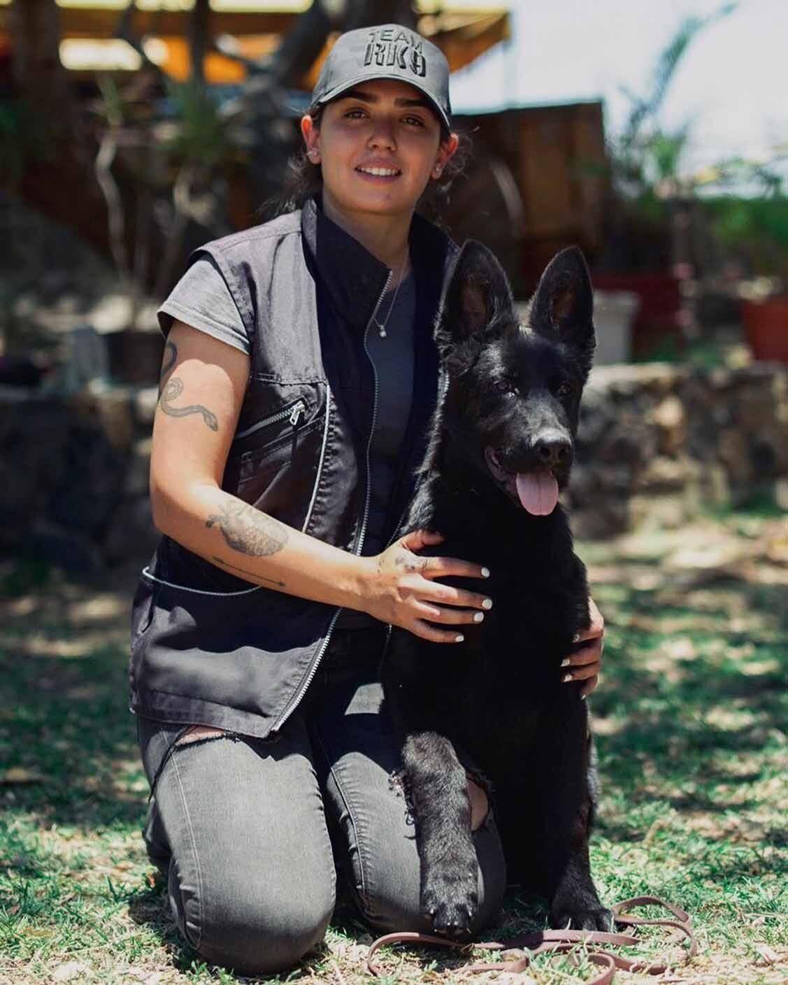 pastor aleman en venta