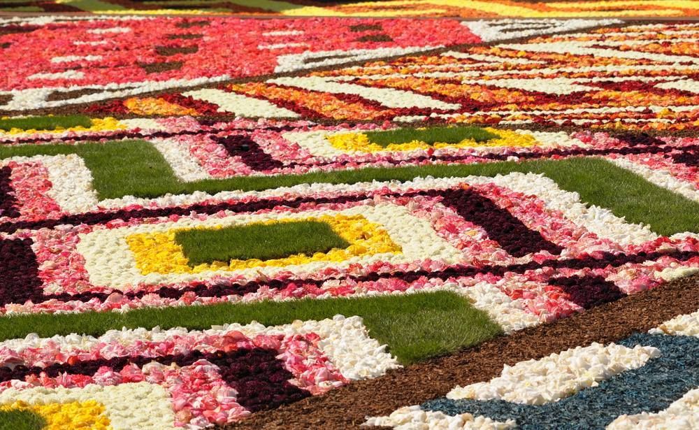 A Carpet Made of Flowers and Grass in a Field — Cairns Floors and More In Smithfield, QLD