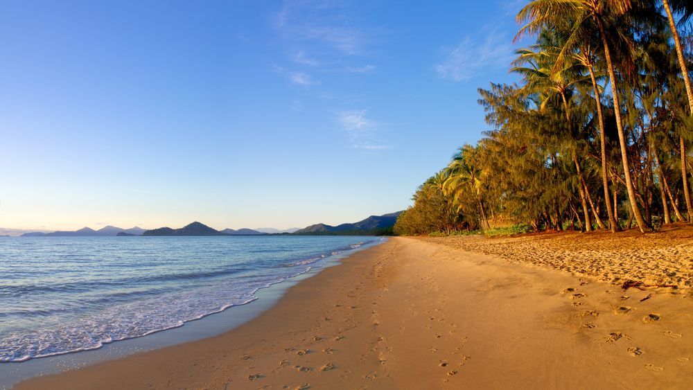 A Tropical Beach With Palm Trees and a Blue Sky — Cairns Floors and More In Palm Cove, QLD