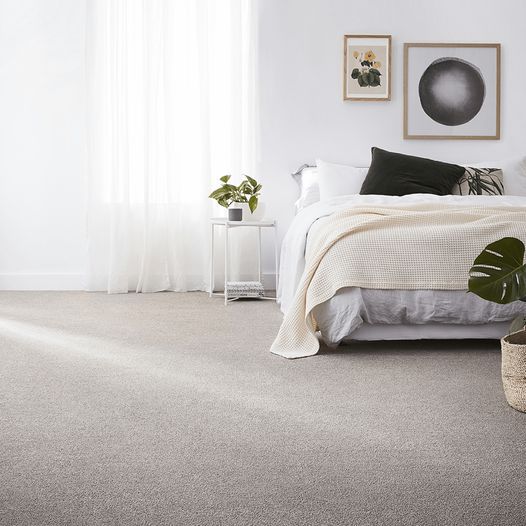 Carpet Flooring with Bed, Table and Small Plant On It — Cairns Floors and More In Bungalow, QLD