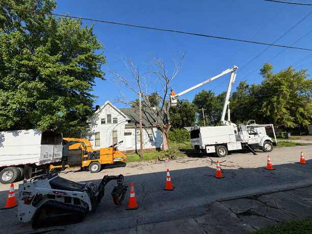 Roadwork with tree-trimming trucks, orange cones, and a house under a clear blue sky